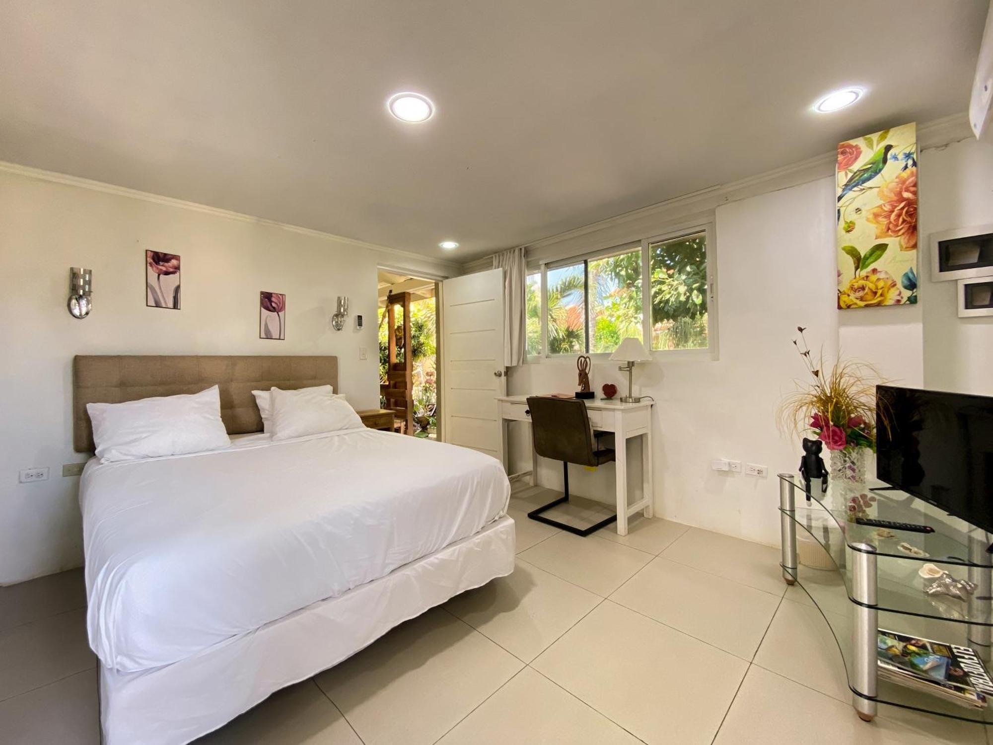 Casalina Garden 2 Blocks To Palm Beach & Kitesurfing School Room photo