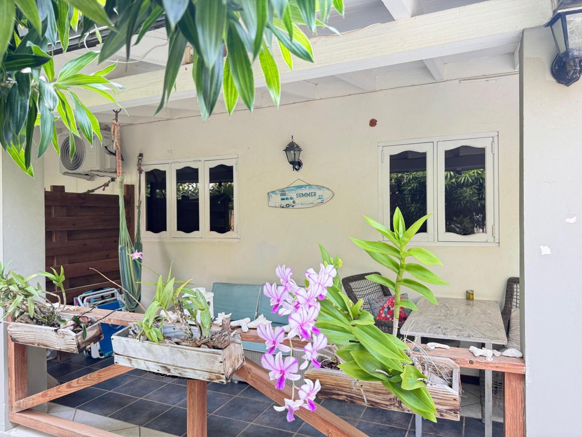 Casalina Garden 2 Blocks To Palm Beach & Kitesurfing School Exterior photo