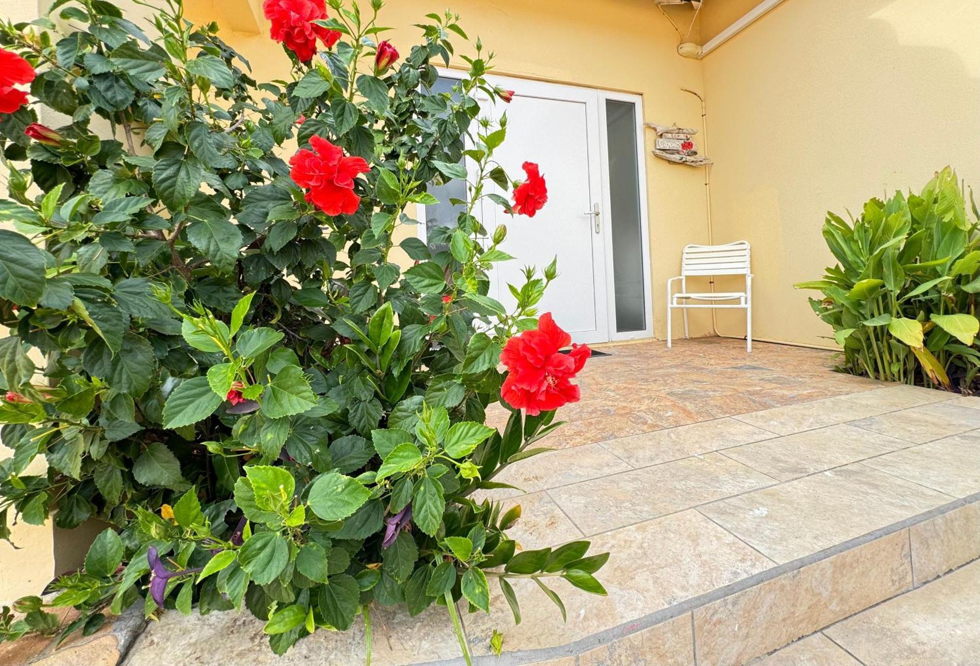 Casalina Garden 2 Blocks To Palm Beach & Kitesurfing School Exterior photo