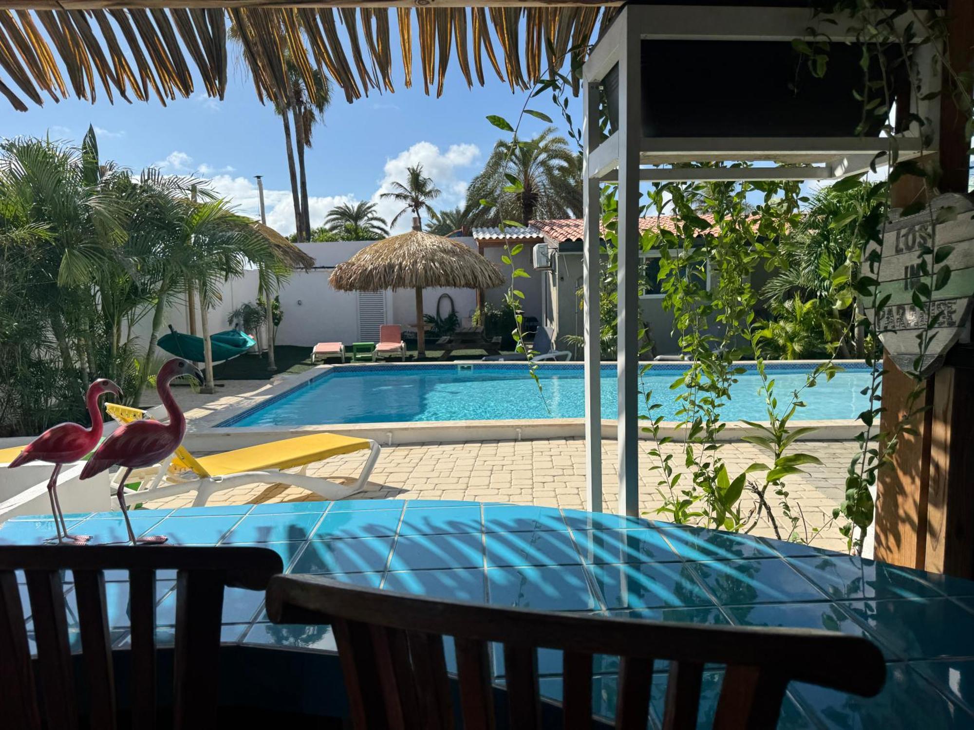 Casalina Garden 2 Blocks To Palm Beach & Kitesurfing School Exterior photo