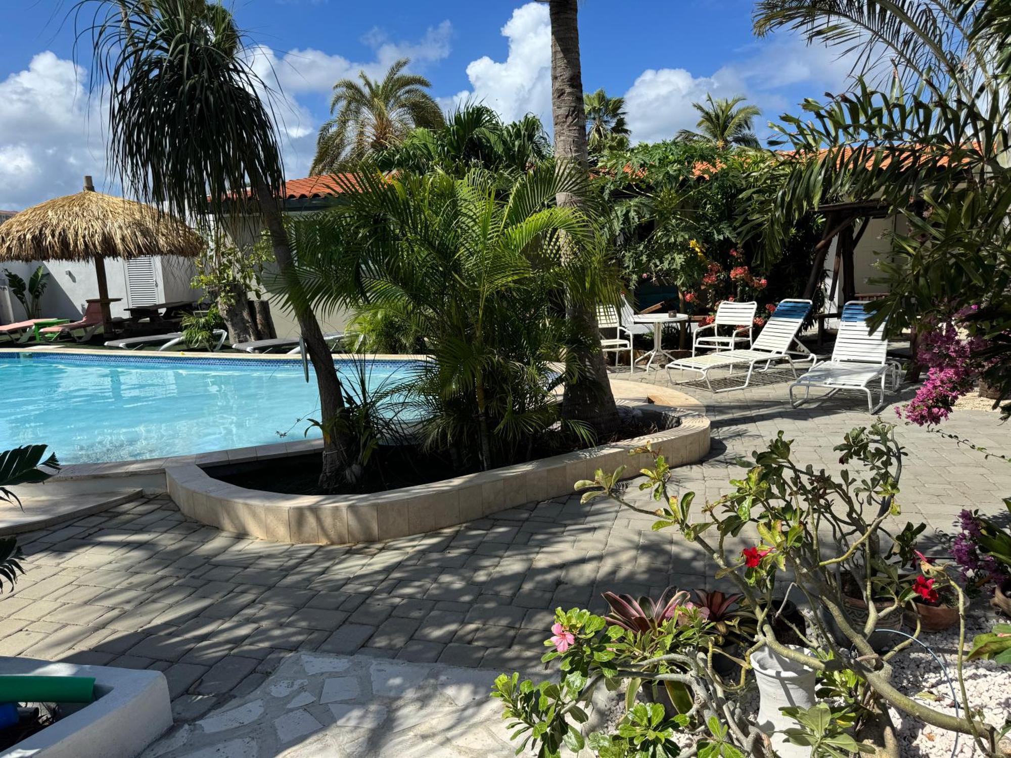 Casalina Garden 2 Blocks To Palm Beach & Kitesurfing School Exterior photo